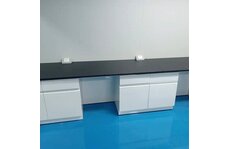 中學(xué)化學(xué)實驗室建設(shè)的現(xiàn)狀和發(fā)展趨勢